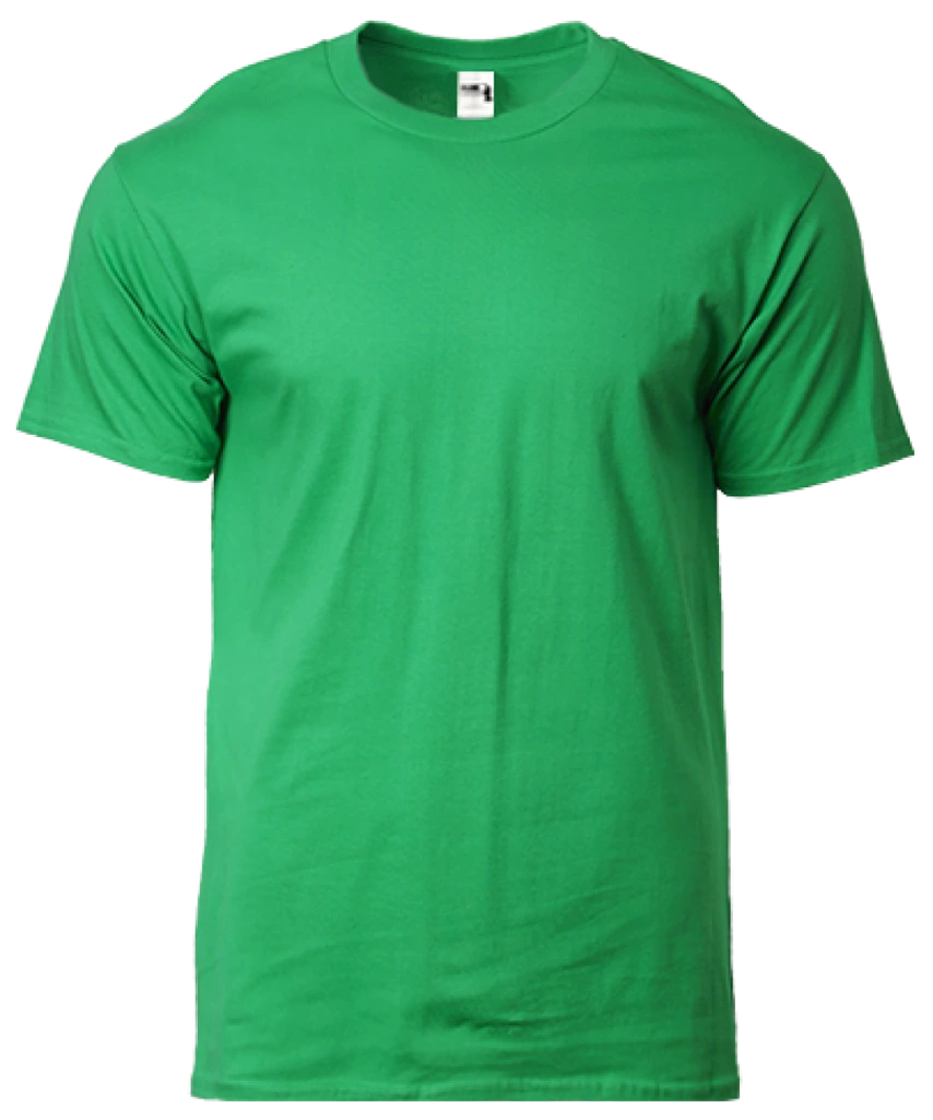 Gildan Hammer Heavyweight Adult T-Shirt (HA00)