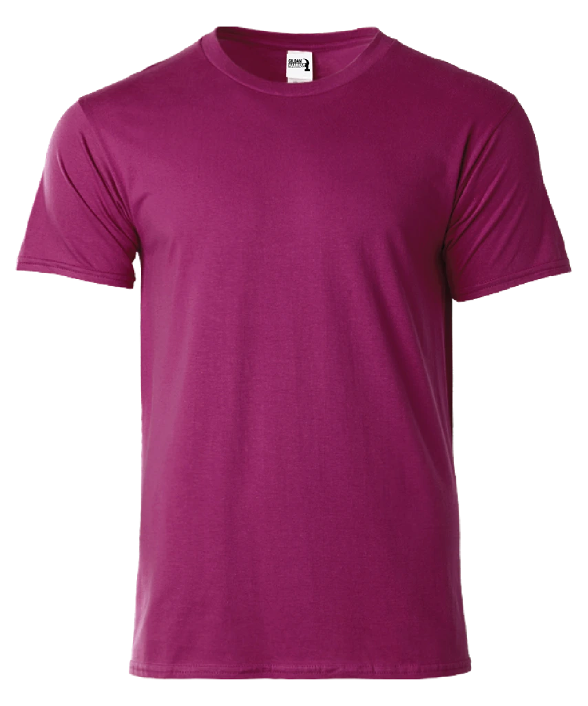 Gildan Hammer Heavyweight Adult T-Shirt (HA00)
