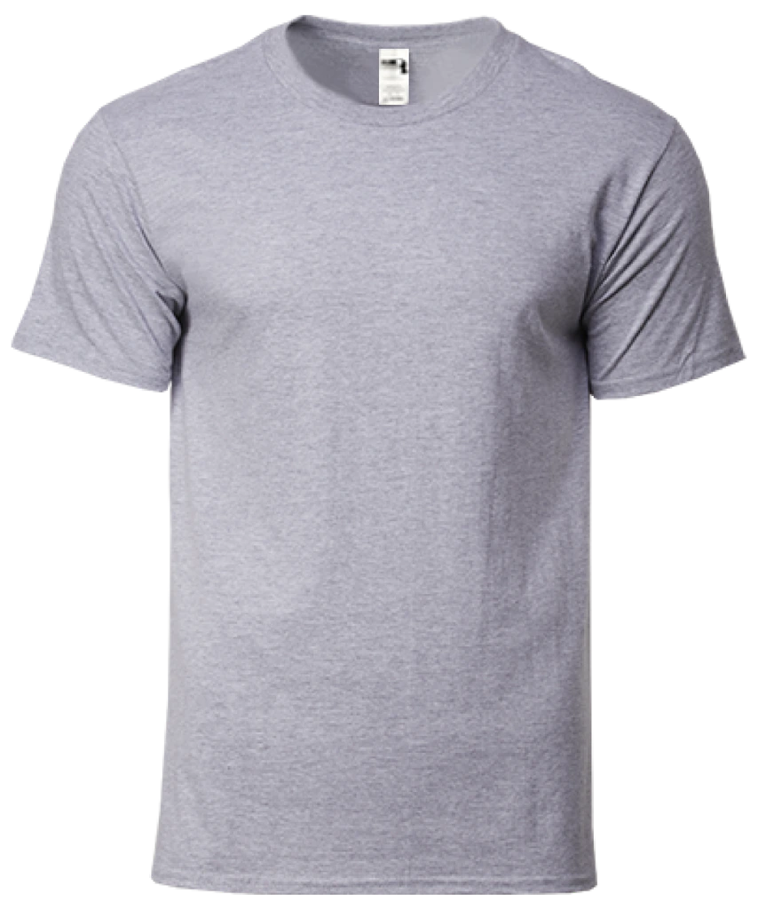 Gildan Hammer Heavyweight Adult T-Shirt (HA00)