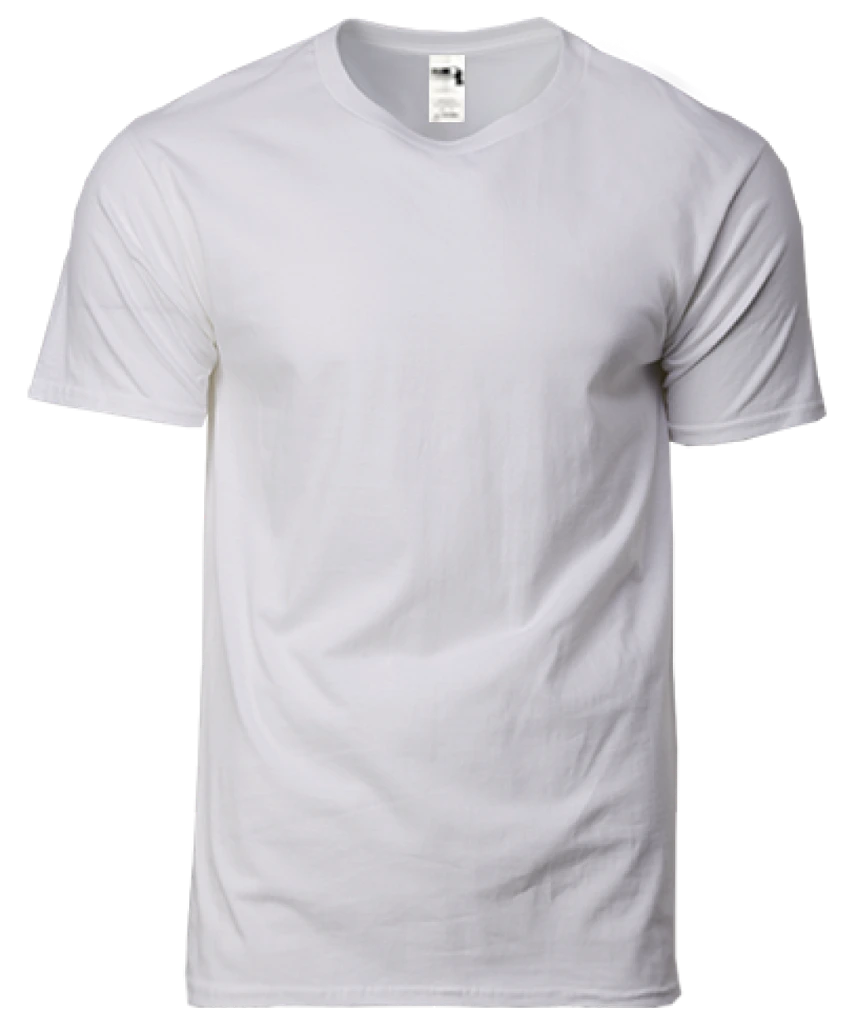Gildan Hammer Heavyweight Adult T-Shirt (HA00)