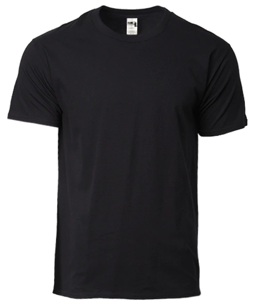 Gildan Hammer Heavyweight Adult T-Shirt (HA00)