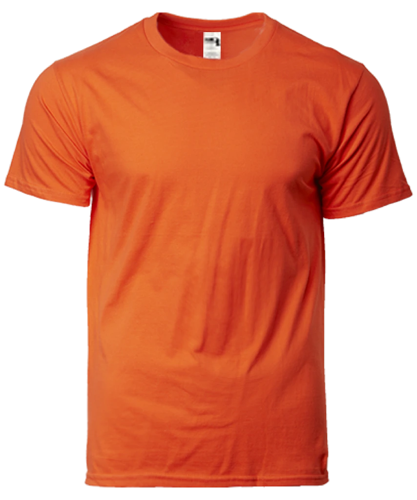 Gildan Hammer Heavyweight Adult T-Shirt (HA00)