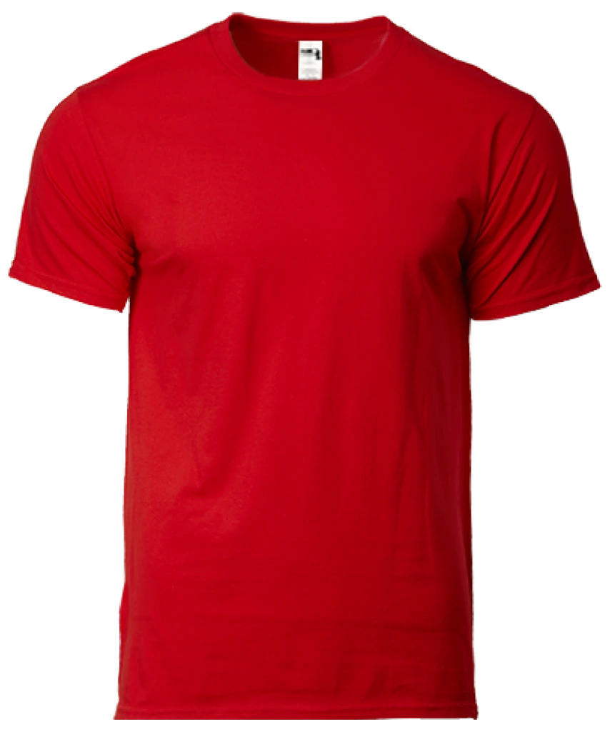 Gildan Hammer Heavyweight Adult T-Shirt (HA00)