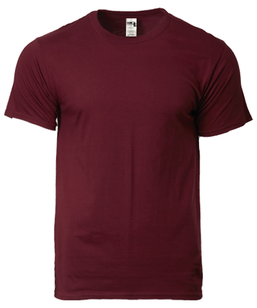 Gildan Hammer Heavyweight Adult T-Shirt (HA00)