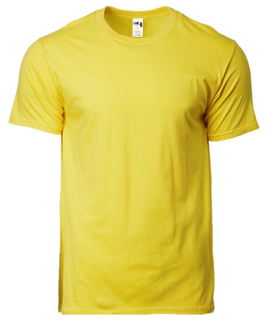 Gildan Hammer Heavyweight Adult T-Shirt (HA00)