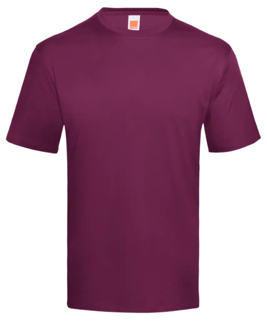 Dri-Fit Antimicrobial T-Shirt 140gsm (QD66)