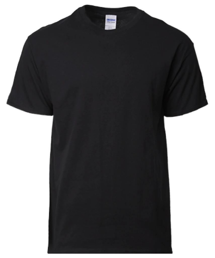 Gildan Ultra Cotton T-Shirt (2000)