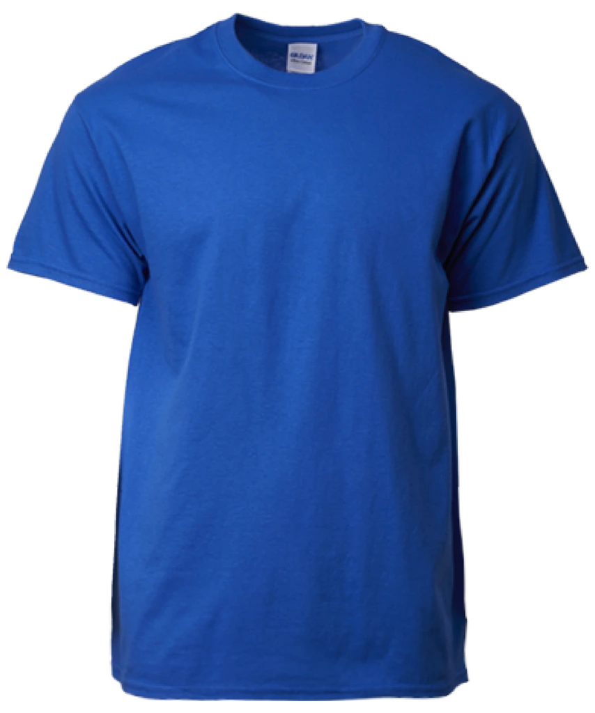Gildan Ultra Cotton T-Shirt (2000)