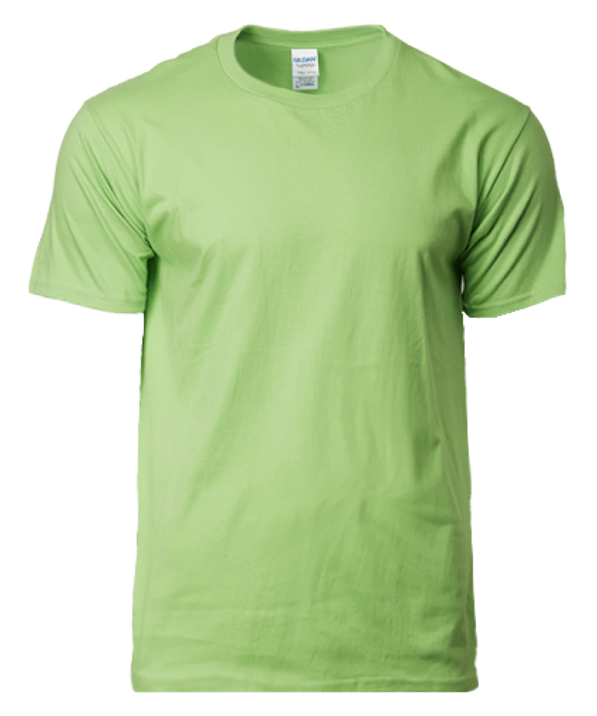 Gildan Softstyle Cotton Tee (63000)
