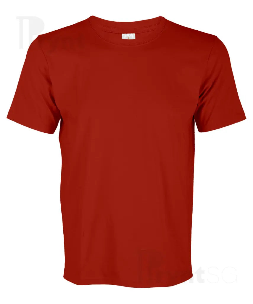 Basic Cotton T-Shirt 160gsm (CT51)