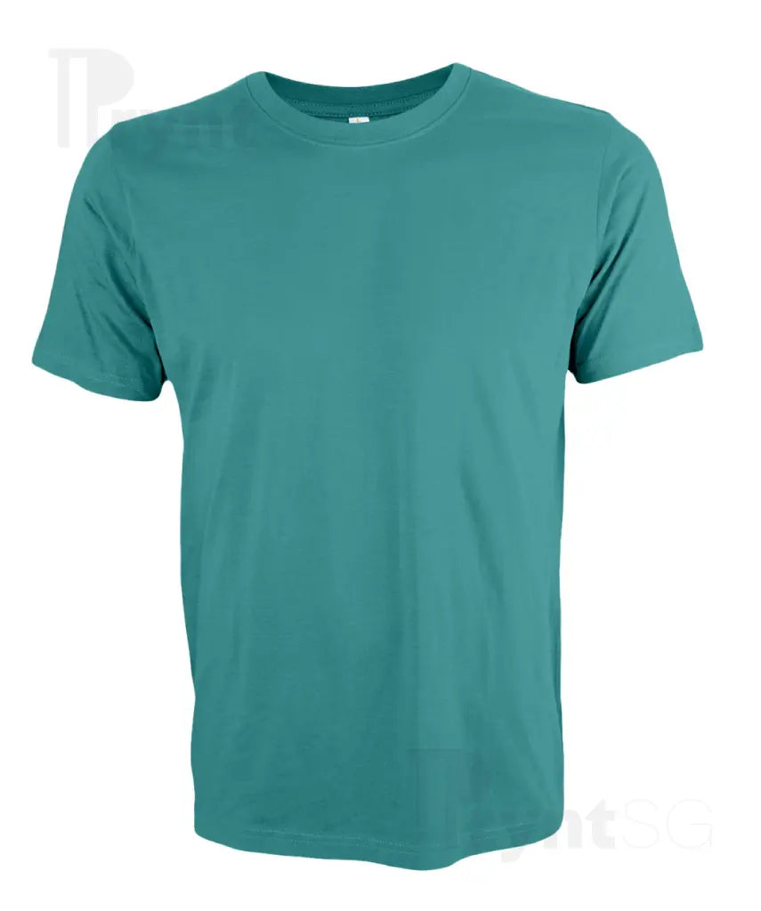 Basic Cotton T-Shirt 160gsm (CT51)