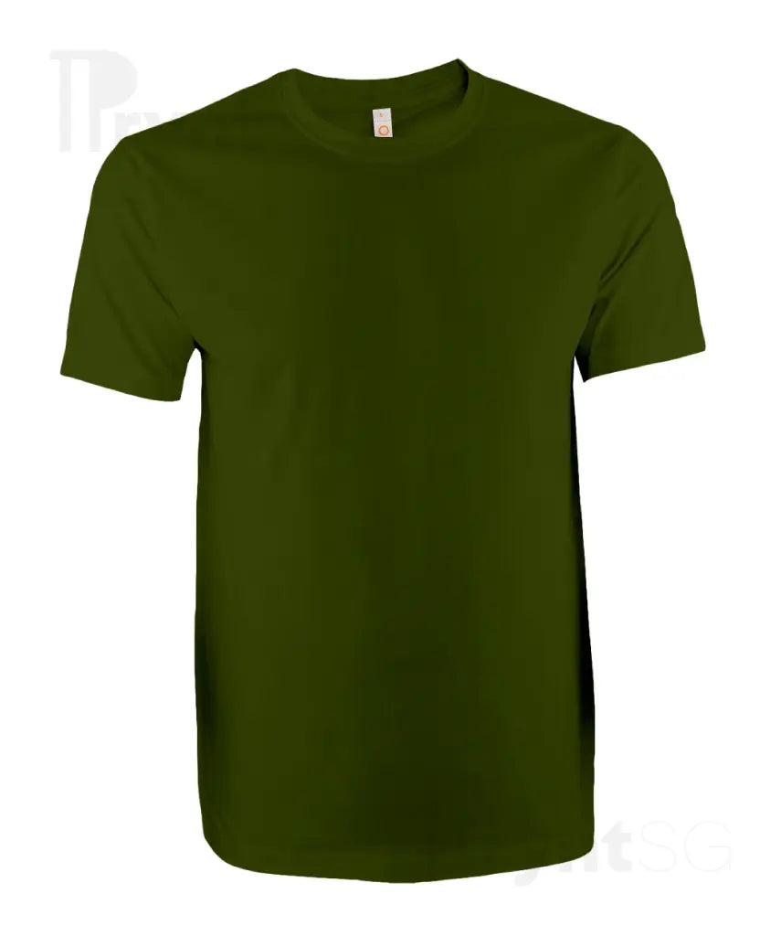 Basic Cotton T-Shirt 160gsm (CT51)