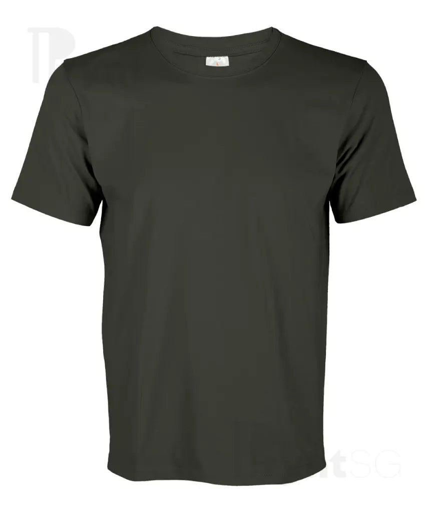 Basic Cotton T-Shirt 160gsm (CT51)