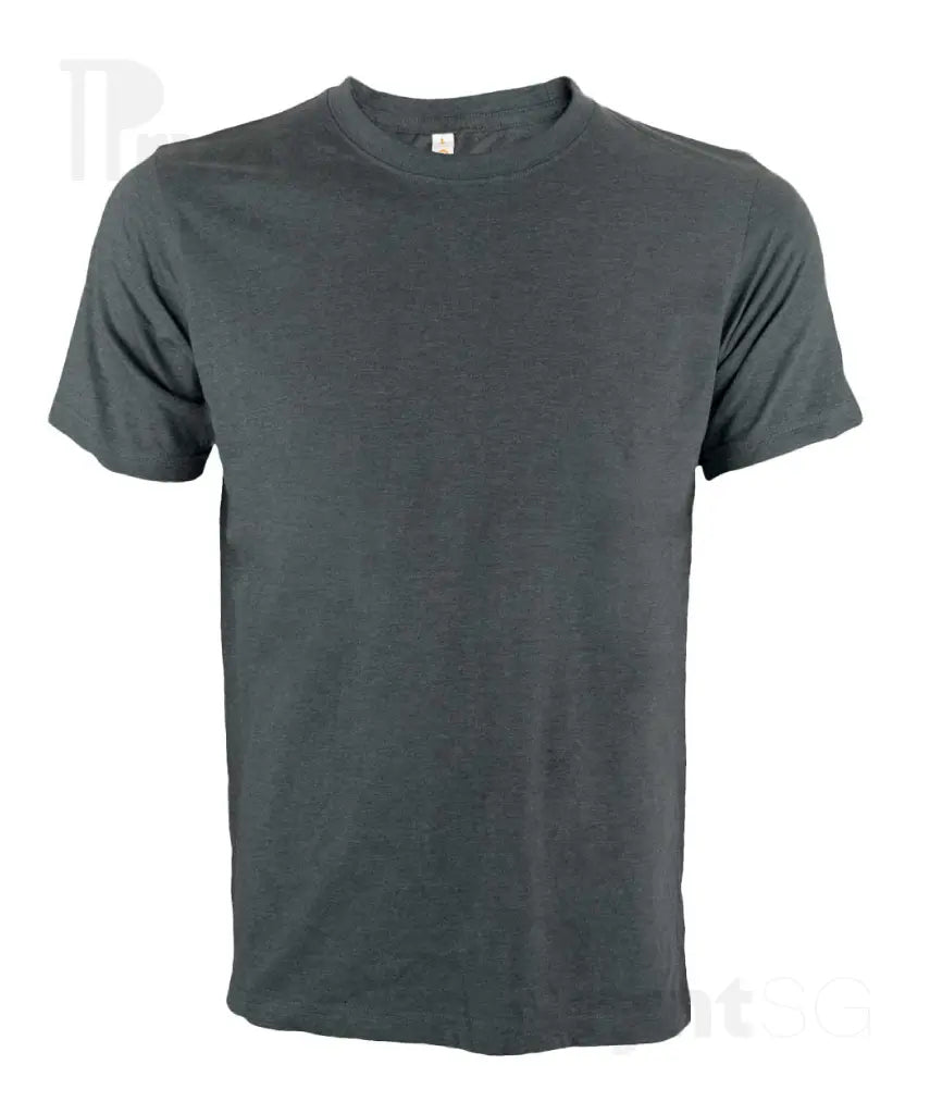 Basic Cotton T-Shirt 160gsm (CT51)