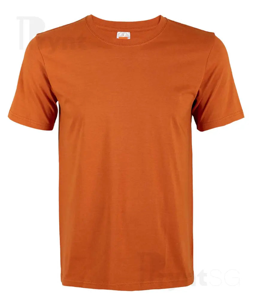 Basic Cotton T-Shirt 160gsm (CT51)