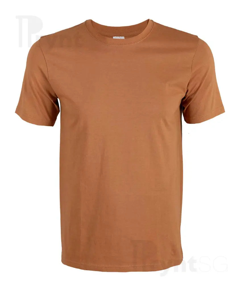 Basic Cotton T-Shirt 160gsm (CT51)