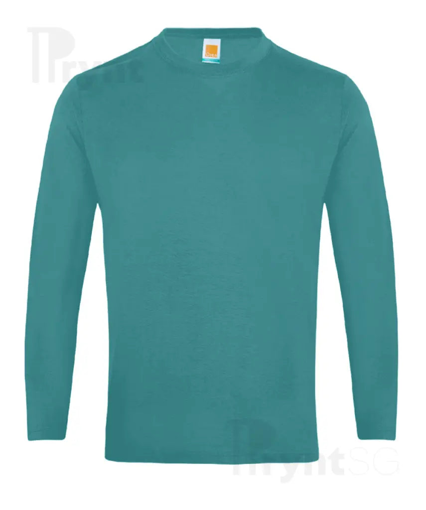 Basic Cotton Long Sleeve T-Shirt 160gsm (CT54)
