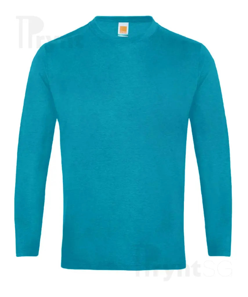 Basic Cotton Long Sleeve T-Shirt 160gsm (CT54)
