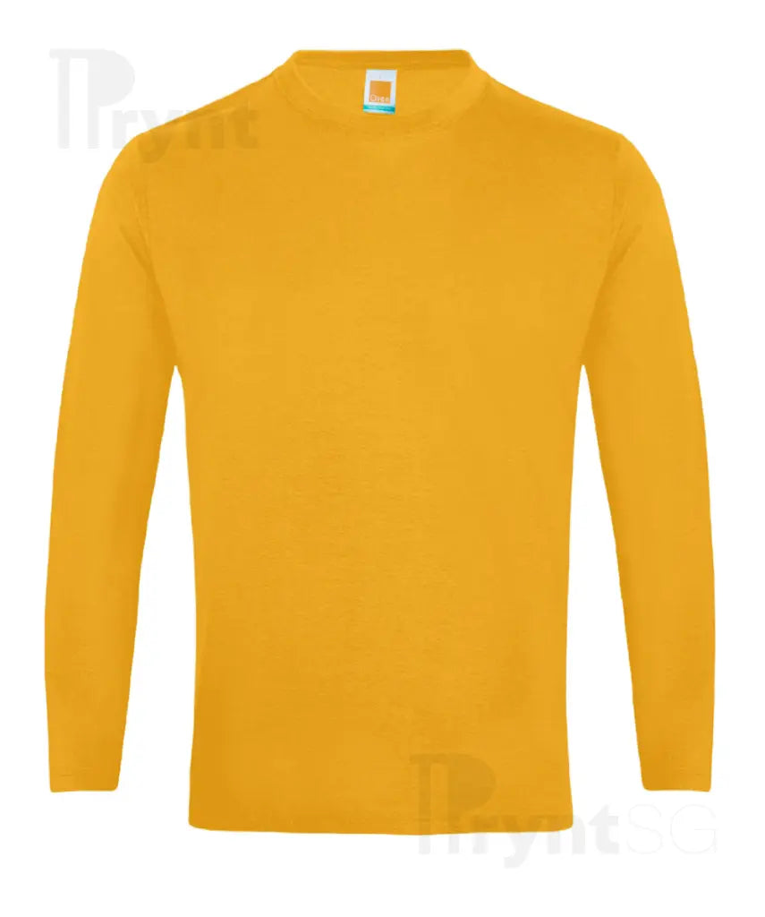 Basic Cotton Long Sleeve T-Shirt 160gsm (CT54)
