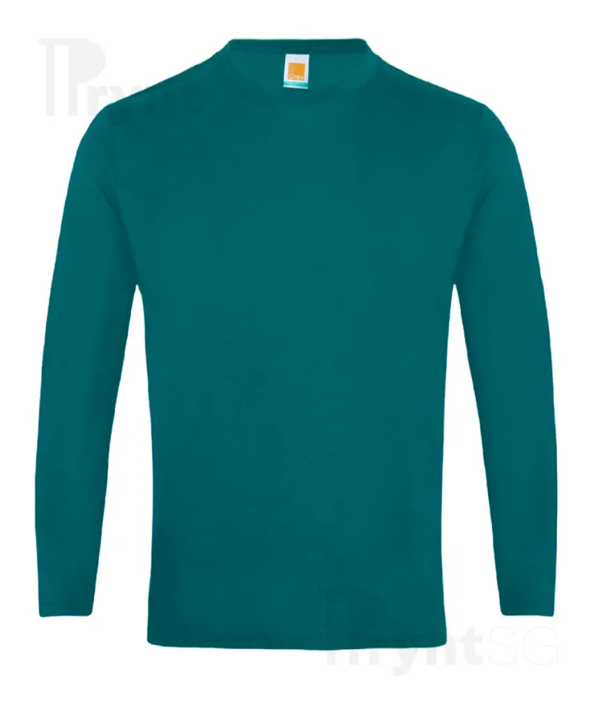 Basic Cotton Long Sleeve T-Shirt 160gsm (CT54)