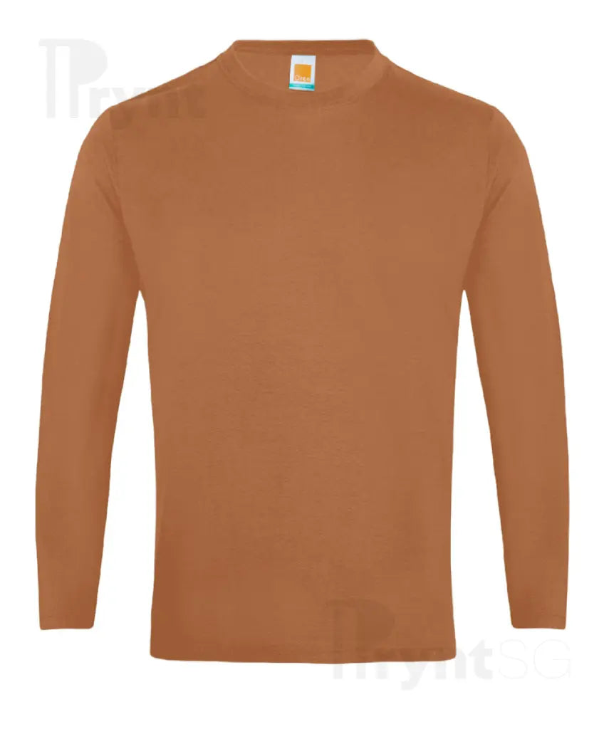Basic Cotton Long Sleeve T-Shirt 160gsm (CT54)