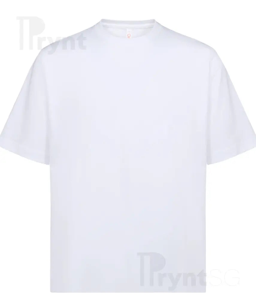 Premium Oversized Crew Neck T-Shirt 260gsm (OT02)