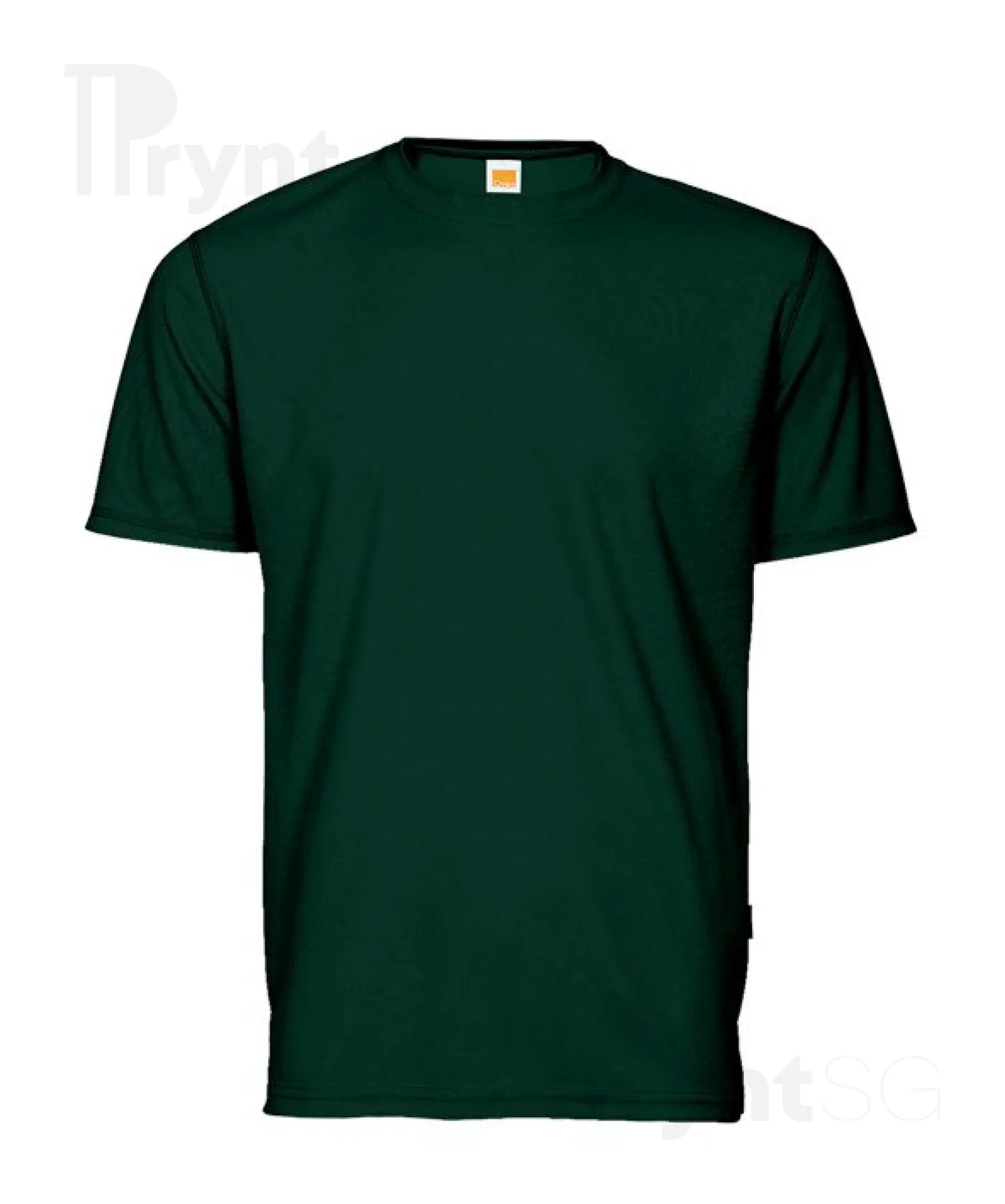 Basic Dri-Fit Microfibre T-Shirt 160gsm (QD04)