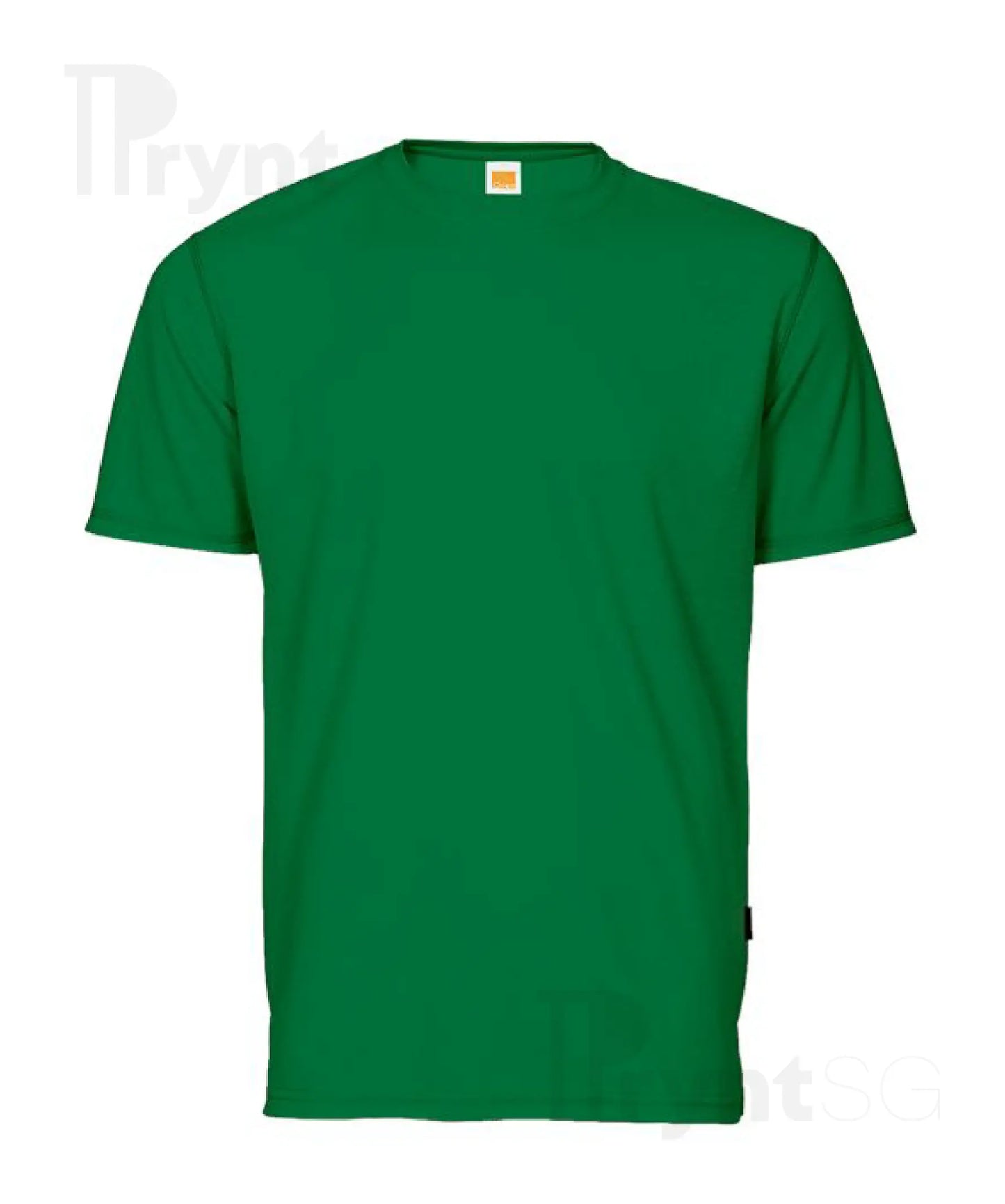 Basic Dri-Fit Microfibre T-Shirt 160gsm (QD04)
