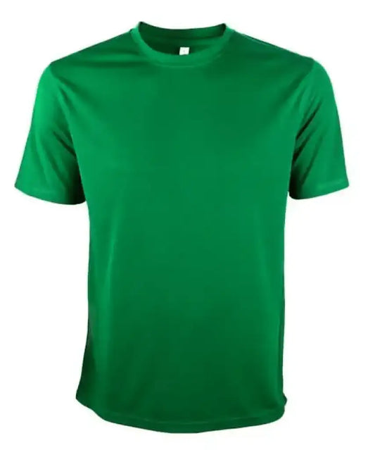 Basic Dri-Fit Microfibre T-Shirt 160gsm (QD04)