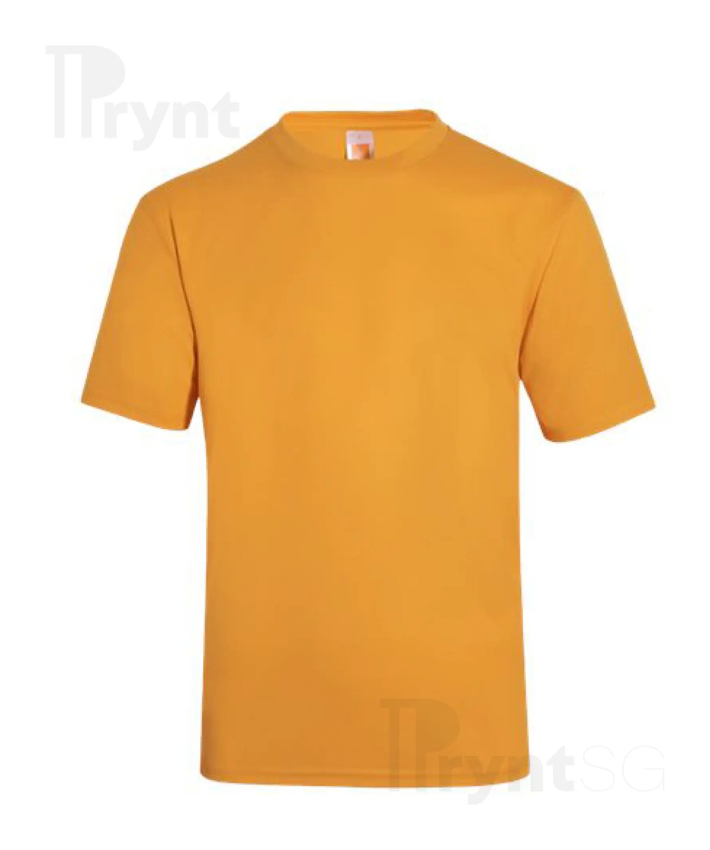 Basic Dri-Fit Microfibre T-Shirt 160gsm (QD04)