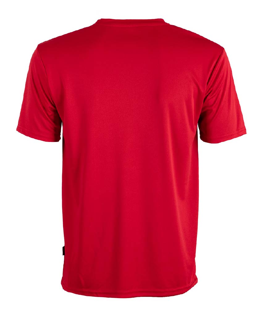 Basic Polyester Interlock Dri-Fit T-Shirt 150gsm (QD56)