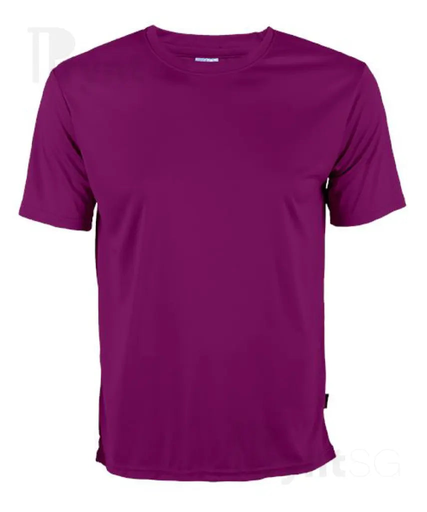 Basic Polyester Interlock Dri-Fit T-Shirt 150gsm (QD56)