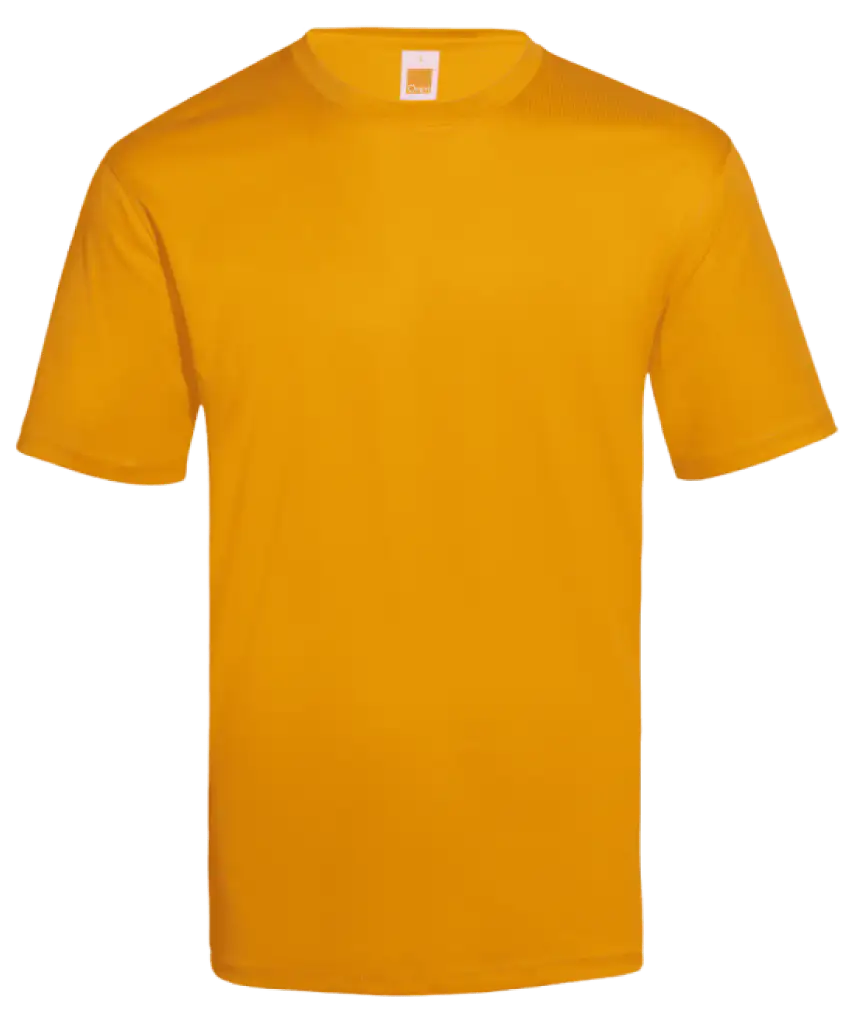 Dri-Fit Antimicrobial T-Shirt 140gsm (QD66)