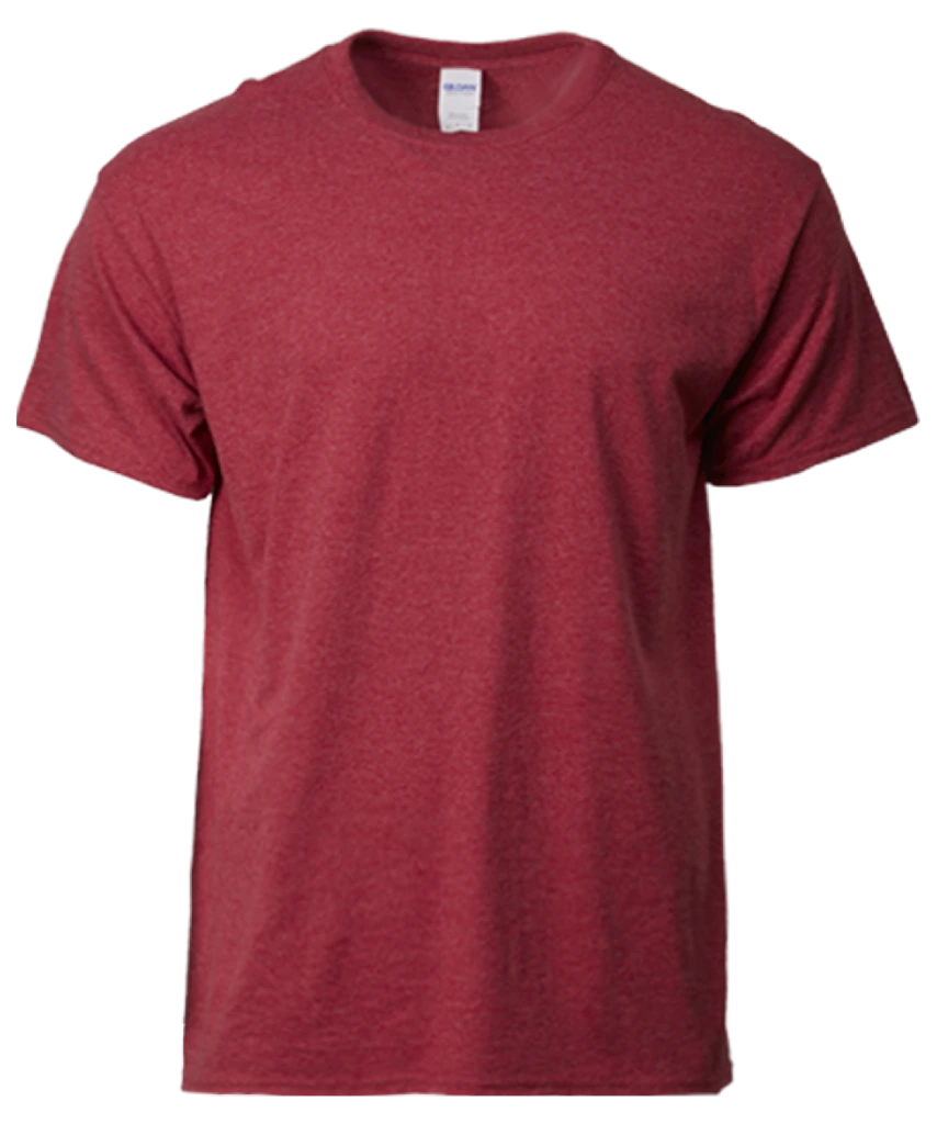 Gildan Ultra Cotton T-Shirt (2000)