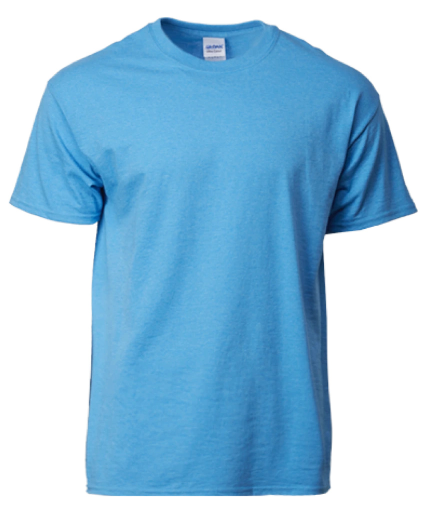 Gildan Ultra Cotton T-Shirt (2000)