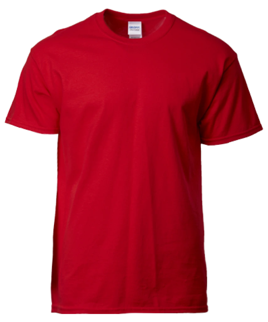 Gildan Ultra Cotton T-Shirt (2000)