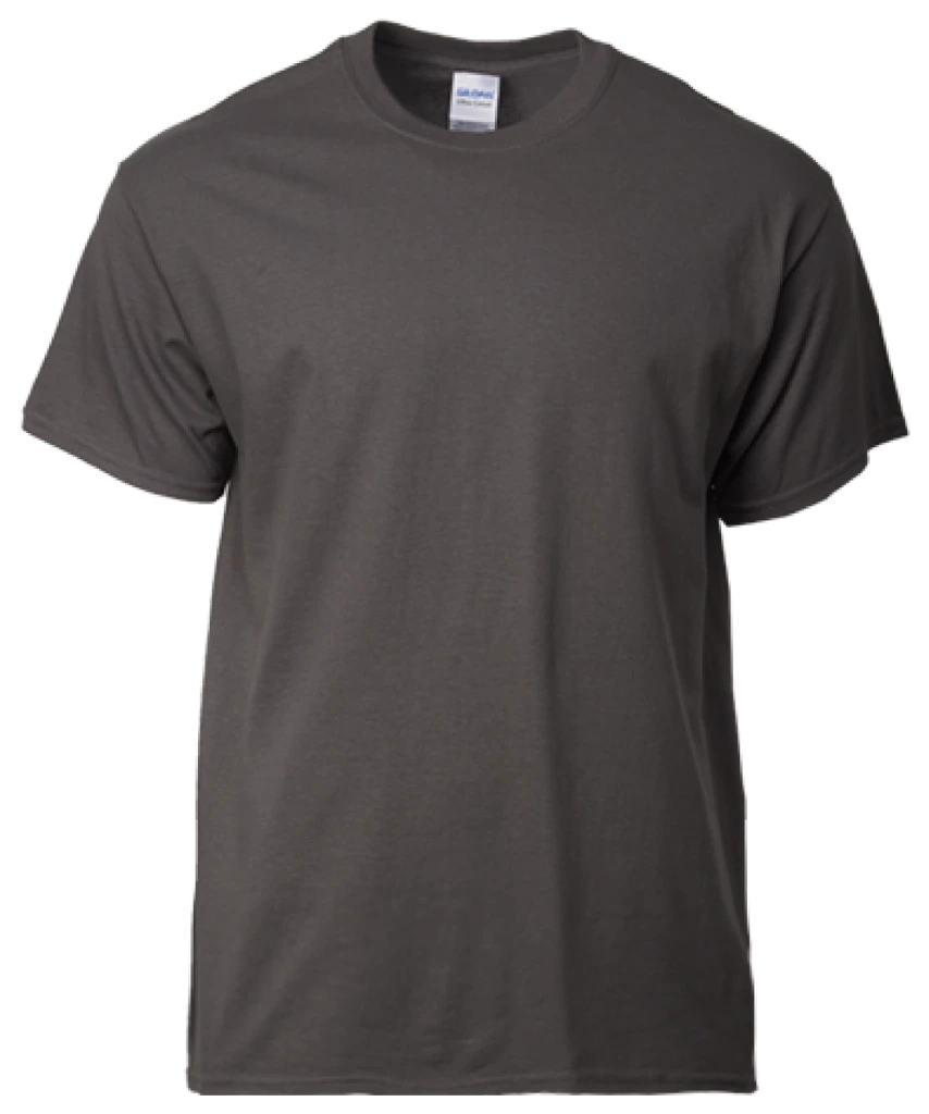 Gildan Ultra Cotton T-Shirt (2000)